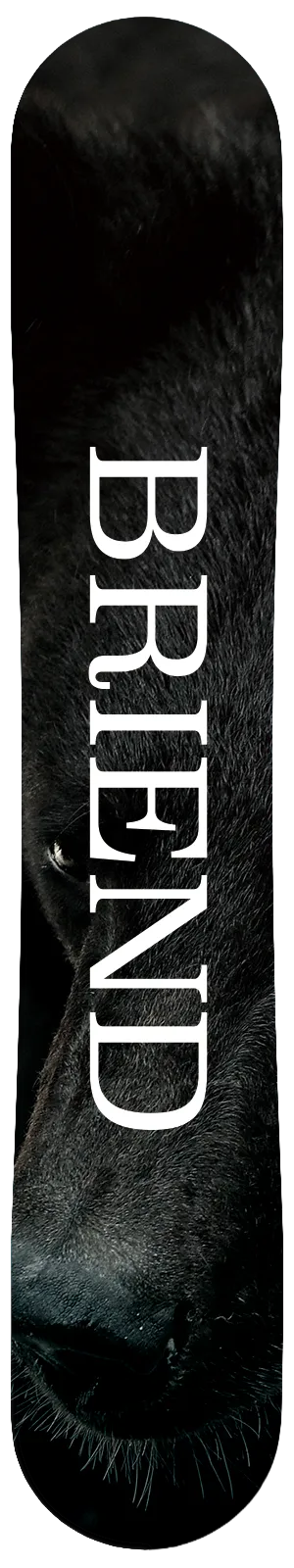 BRIENDスノーボードのBLACKOUTのソールの写真