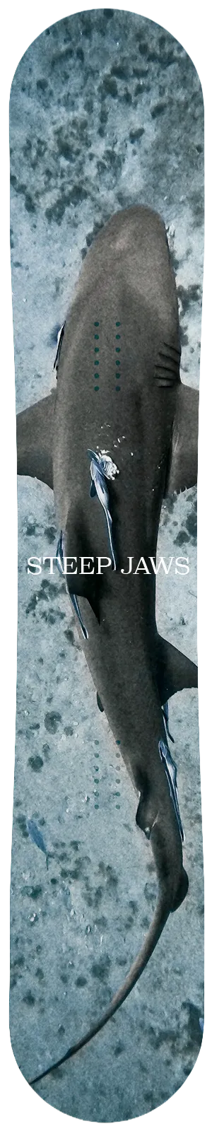 BRIENDスノーボードのSTEEP JAWSのトップシートの写真