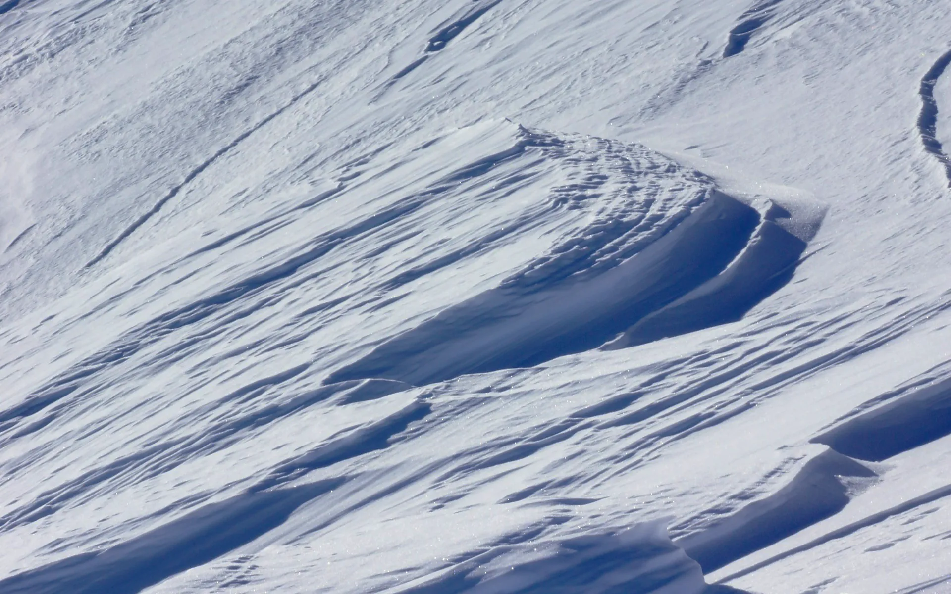 広大な雪山の写真